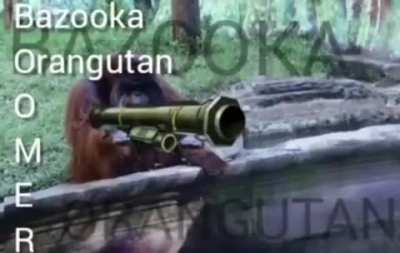 Boomer