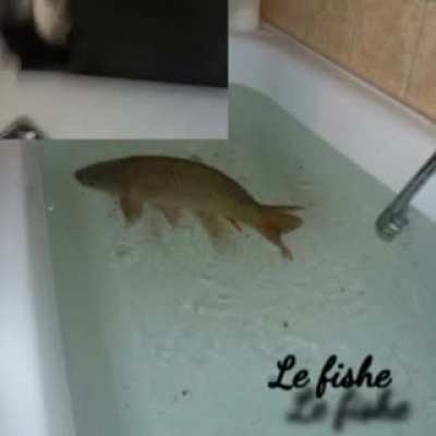𝐿𝑒 𝑓𝑖𝑠𝒉𝑒