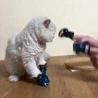 SiCKo SHows A KiD hOw TO fUCk PEopLe up