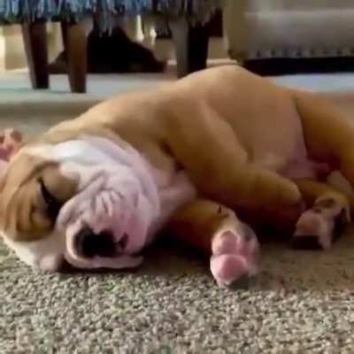 Monday mood.
