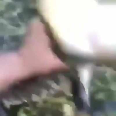 u_NOT-A-MEME-THIEF