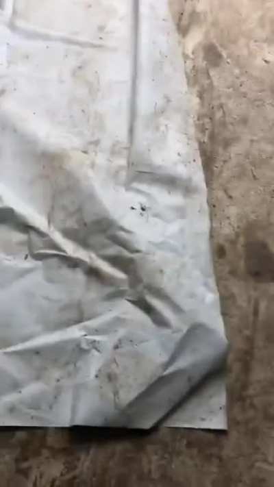 I’m now burning down this warehouse.