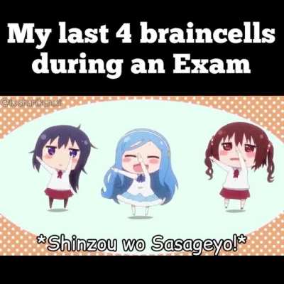 They're unreliable 😤