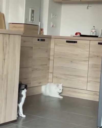“You have no idea what I’ve just been through!”