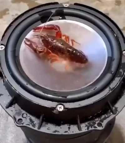 yo, dodaj mi aux kabel
