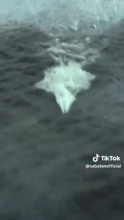 Another small snippet for YAMATO dropped on Sabaton's tiktok page