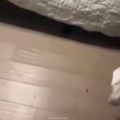 Just a sock