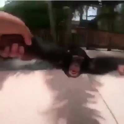 HE ZOOMIN