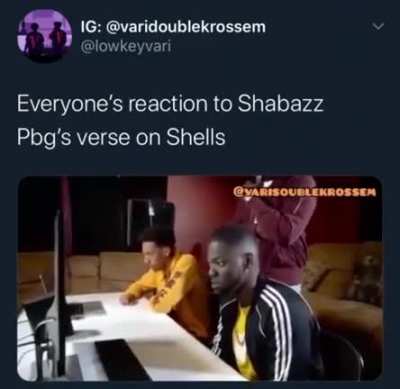 Shells 30x