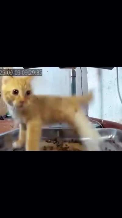Someone got scared