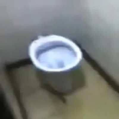 El inodoro que habla