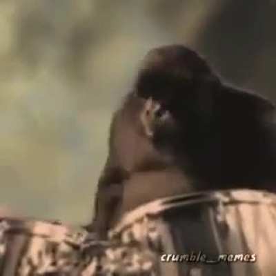 Eu sei que é repost só quero a música