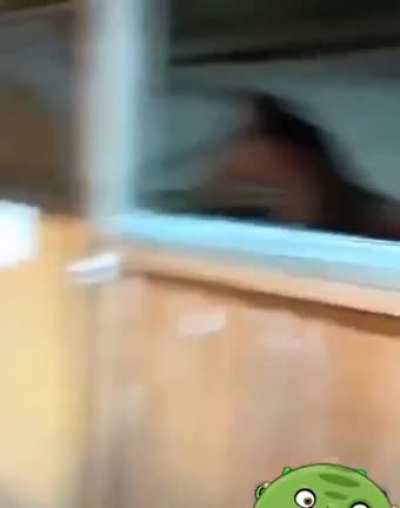 Кыс-к<wbr>ыс-кы<wbr>с