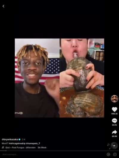 Save the turtles
