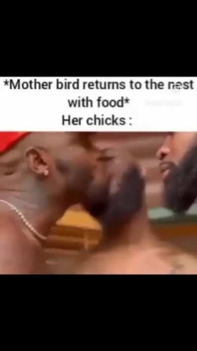 Why this true tho? ( Sorry )