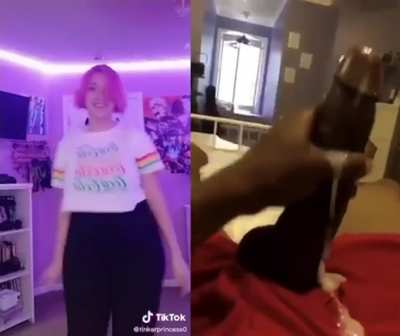 Not even BBC can resist TinkerPrincess