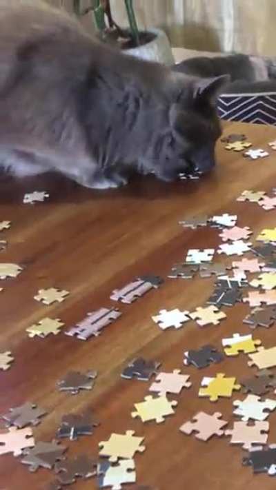 Puzzle piece thief!