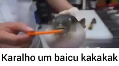 Karai um baiaku