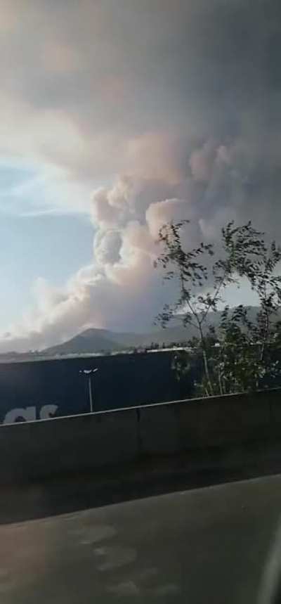 Segundo incendio a gran escala del bosque de la primavera, Jalisco, en menos de una semana.