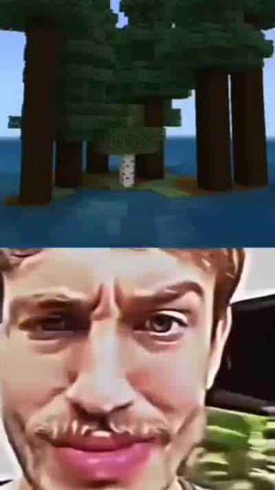 🌲