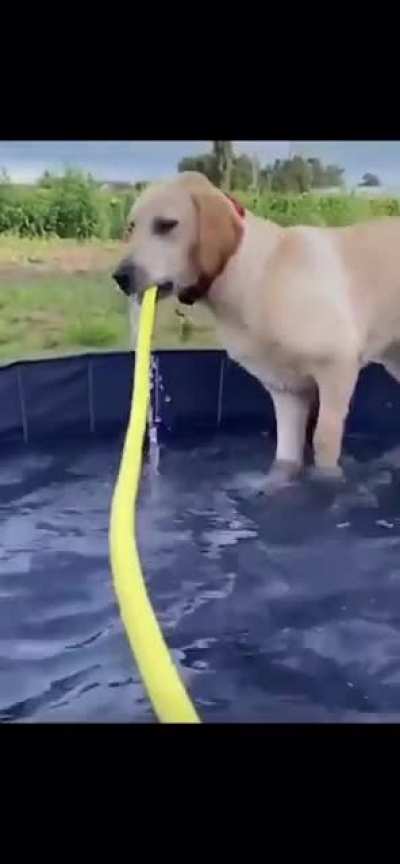 Such a graceful boy.