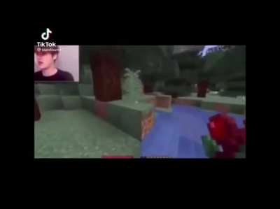perfectly cut mcyt screams :)