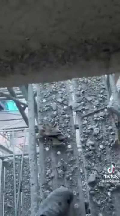 OSHA is typing…