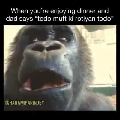 Why? Just why?