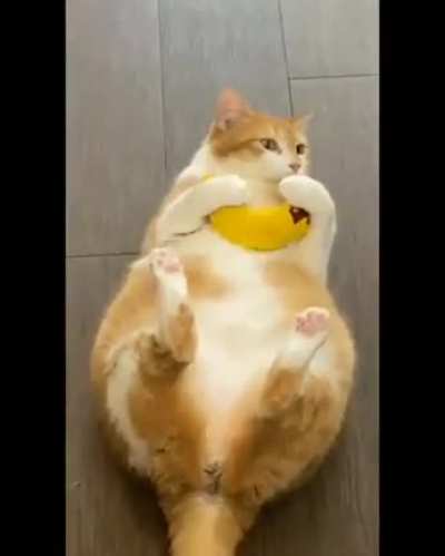 Wait for it