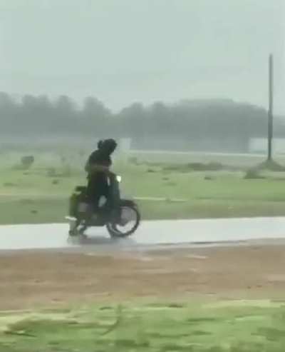 Só na curtição
