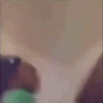 numba 11