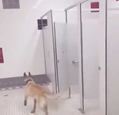 WCGW ditching your dog