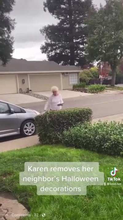 Entitled Karen removes her neighbor’s Halloween decorations from her own yard