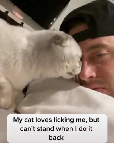 That scream at the end tho..