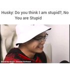 Doggo revenge