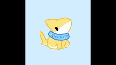 Shark_irl