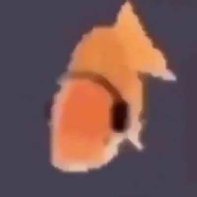 peixe