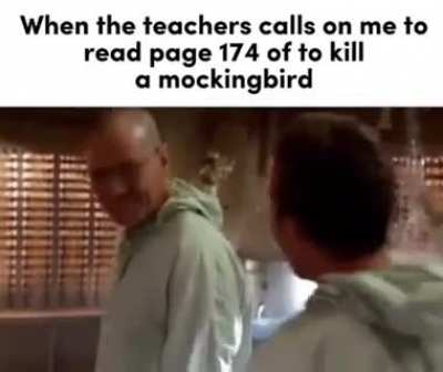 Mocking bird