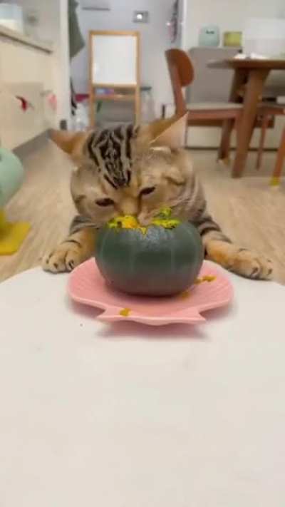 I just love me a good pumpkin