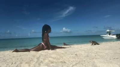 YOGA InStRUCtOr horRIbLy mAuLeD by oppORTuNIstiC IgUAnA eNds in BatTle tO THE dEaTH