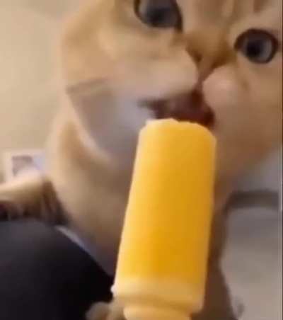 0.0