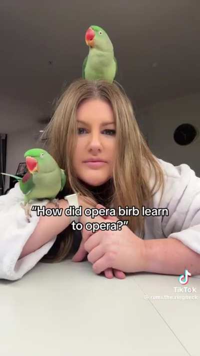Birb opera