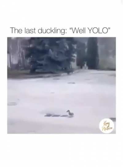 oh shit 😢