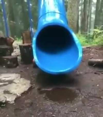 How kids are born