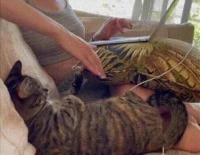 i want in on this activity