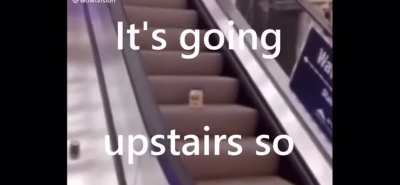 This made me laugh so hard and i dont know why