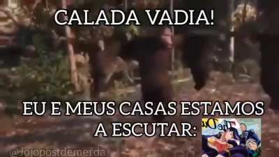 PROS 7 BRAZUCAS DESSA ZORRA