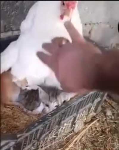 Awwww 😘😍