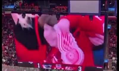 Fans at an ice hockey game cheered every time this kid came on the screen and booed when it went on smoeone else.