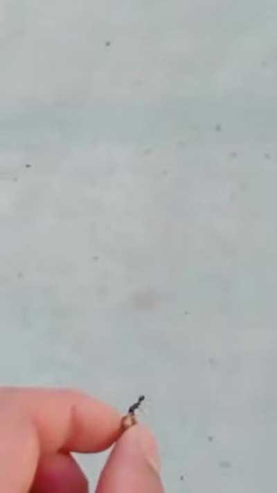 Помог
